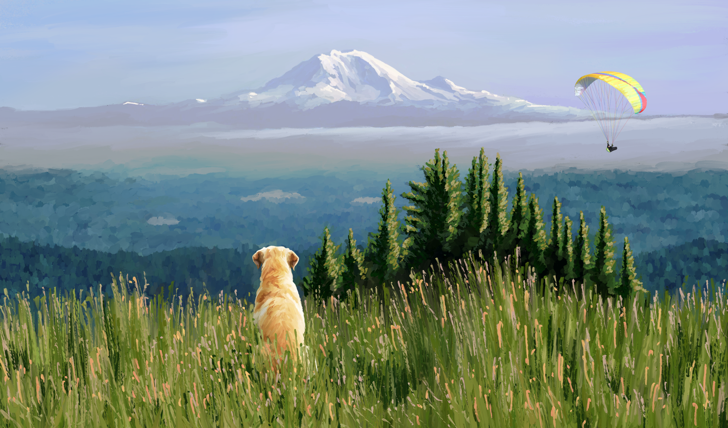 Contact Us — Tiger Mountain Kennel